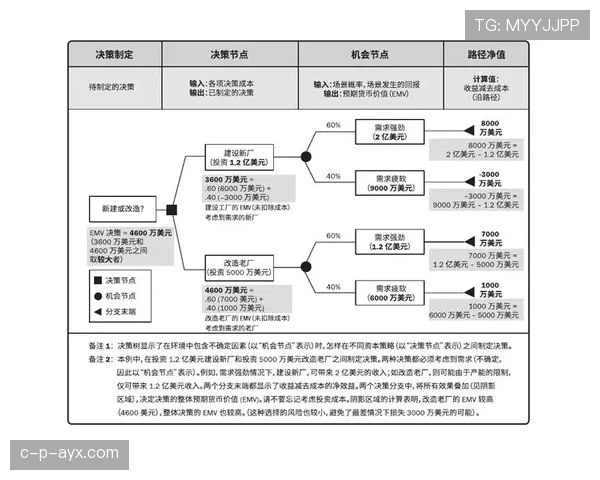 巴雷拉技术分析显示状态回暖，市场趋势揭示潜在投资机会与风险