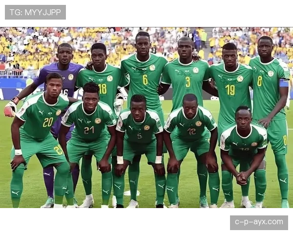 埃及足球新星埃吉普特在印尼队表现稳健，未来发展可期