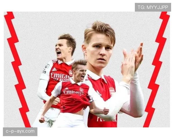 厄德高生涯个人表现与团队成绩评估